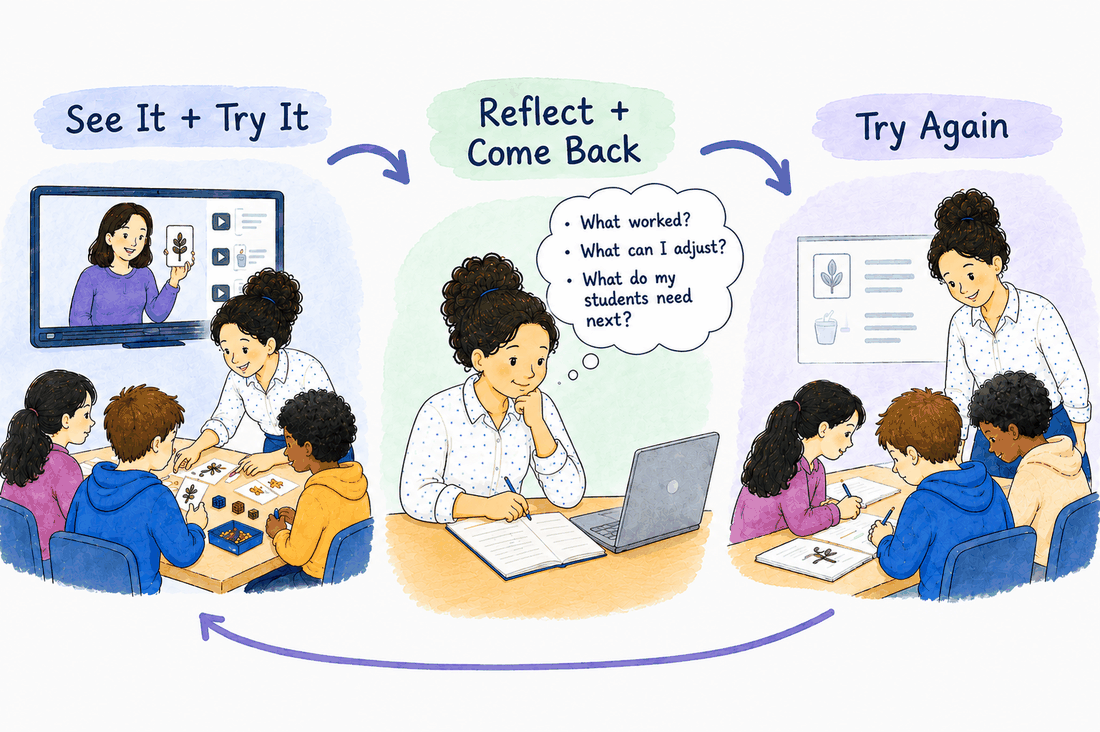 See, Reflect, Try Again teaching cycle